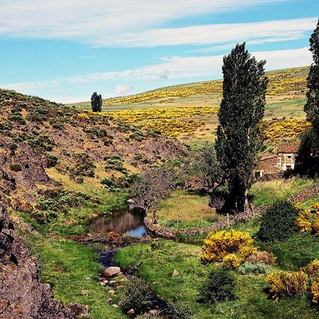 Casa Rural La Vereilla Barajas de Gredos エクステリア 写真