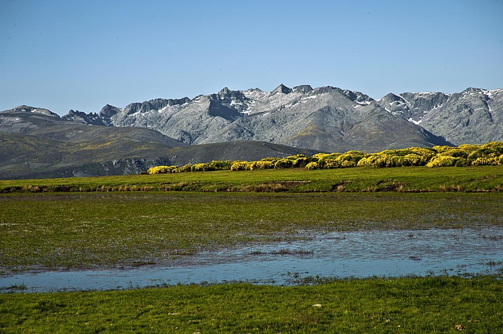 Casa Rural La Vereilla Barajas de Gredos エクステリア 写真